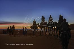 Image du Maroc Professionnelle de  Des touristes  à dos de chameaux se dirigent vers une grande dune pour contempler la beauté du lever du soleil sur les dunes de sable du Sahara à Merzouga dans la région de Drâa-Tafilalet au Sud Est du Maroc, le long de ce que l'on appelle la route des mille kasbahs, Dimanche 5 mars 2017. De nombreux touristes visitent les dunes de Merzouga à l’aube pour contempler la beauté du lever du soleil sur les dunes de sable du Sahara. (Photo / Abdeljalil Bounhar 